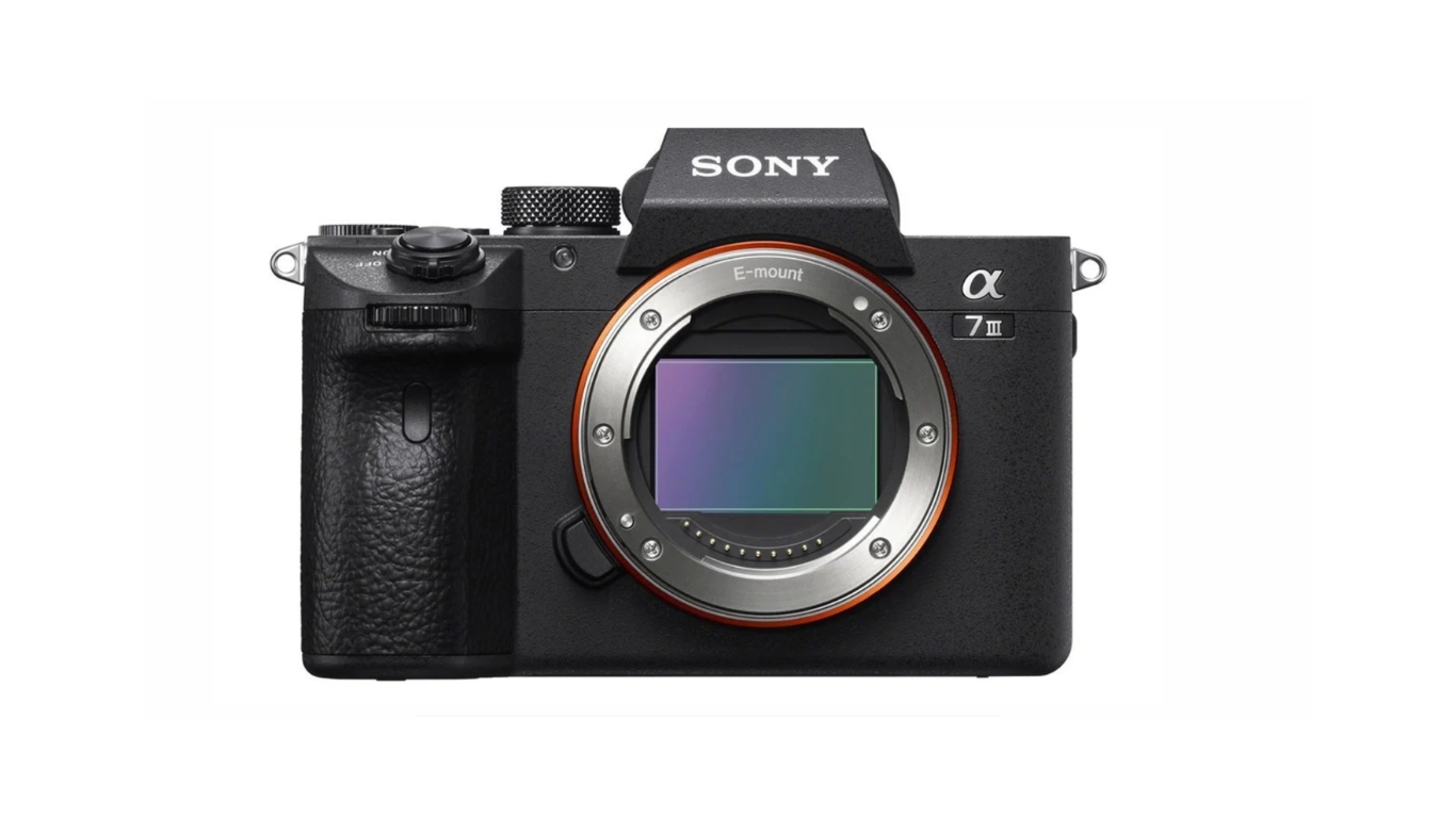 Sony a7iii in smallrig cage with top handle