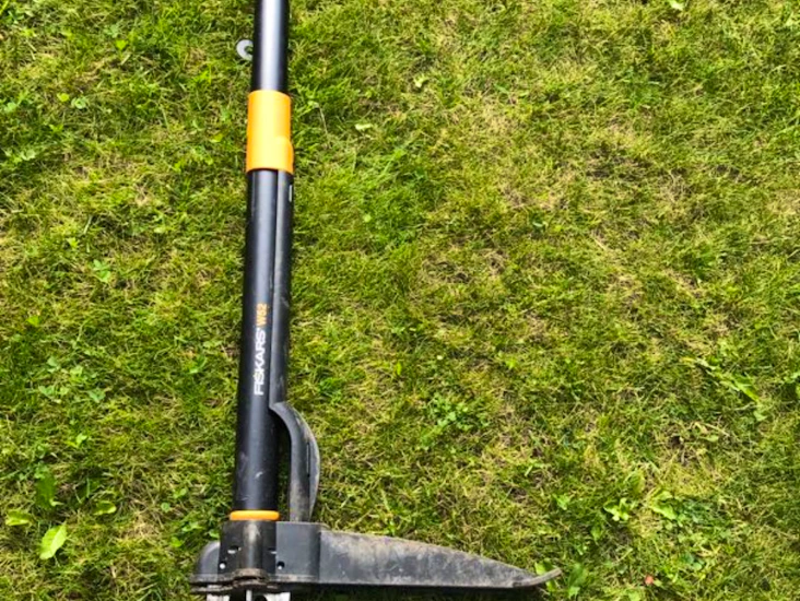 Ogräsupptagare/maskrosrensare