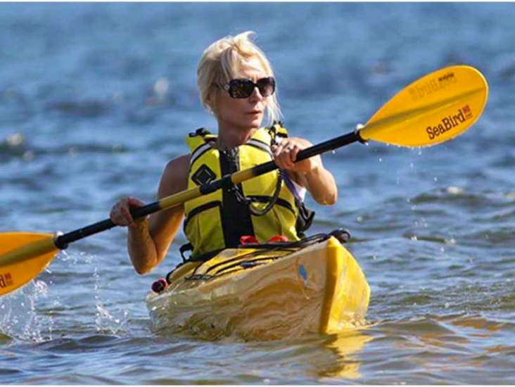 2 stk sea bird design expediton lw havkajakk