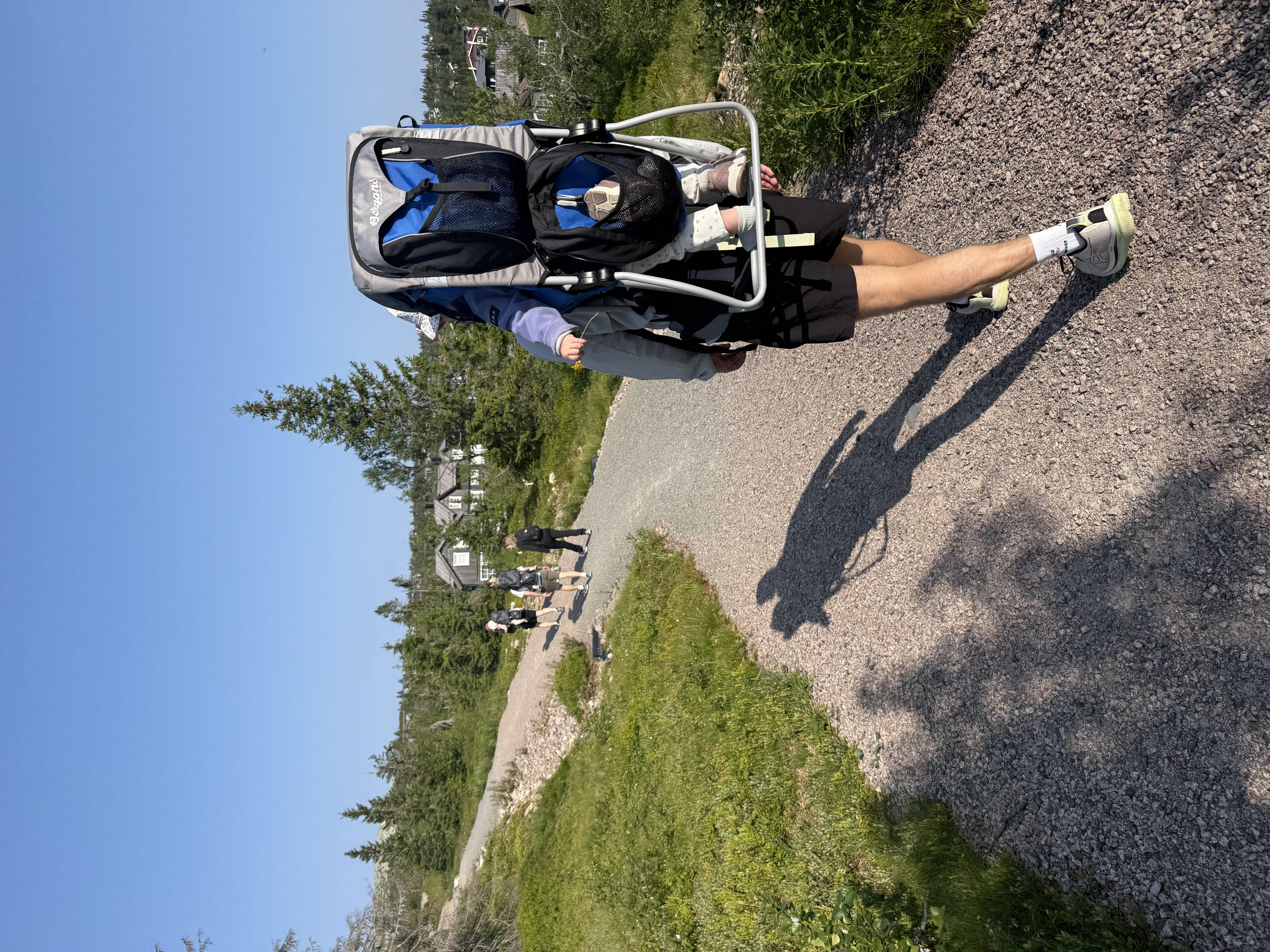 Bärstol