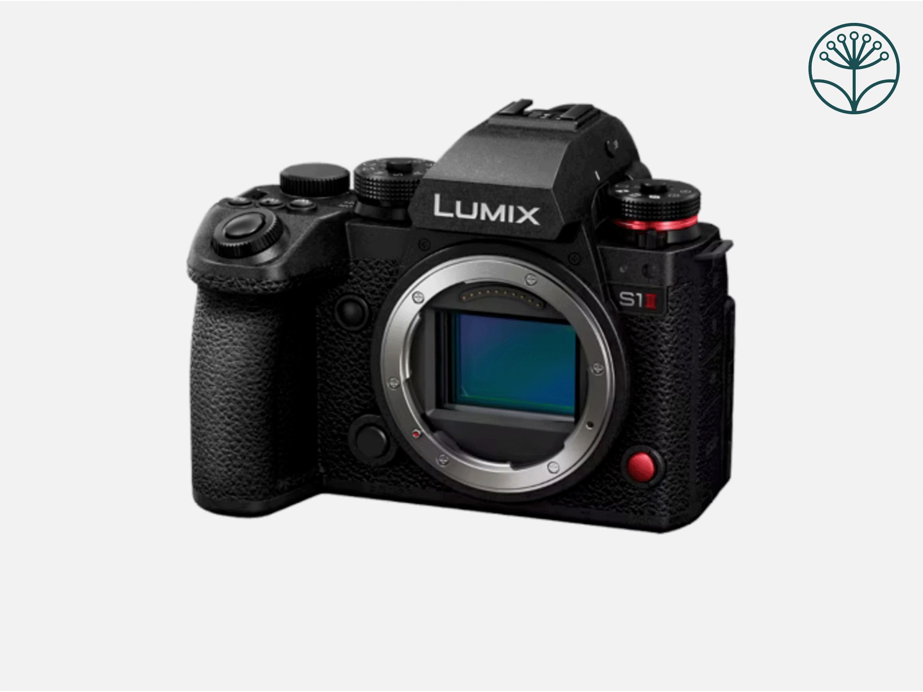 Panasonic lumix s1ii - body + cf express type b  + batteries