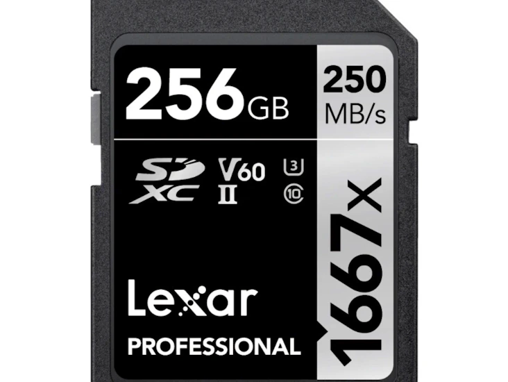 Lexar professional 256 gb