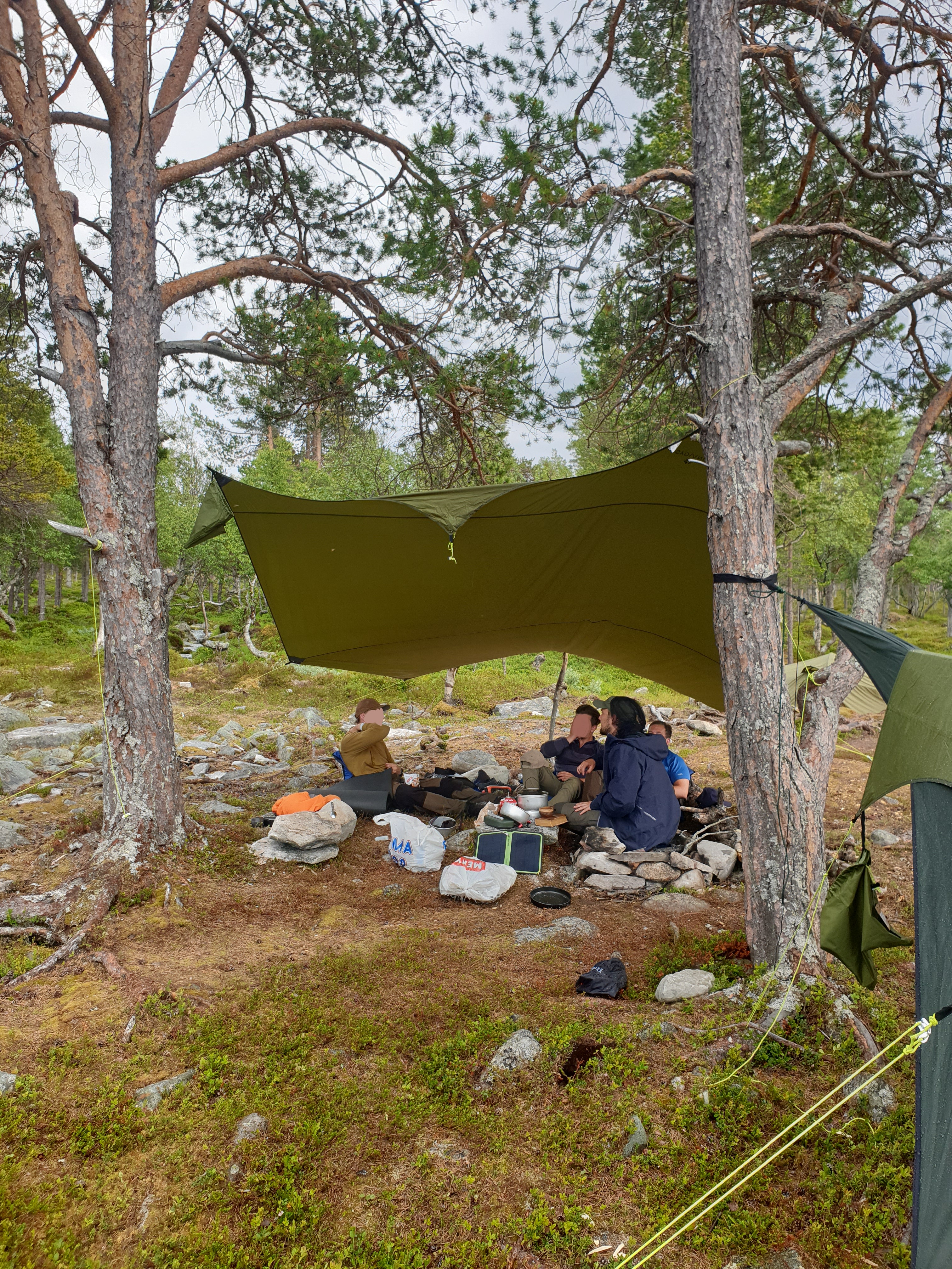 Tarp 15kvm sydvang