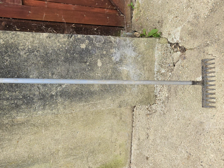 Stiff rake for lawns, pebbles etc