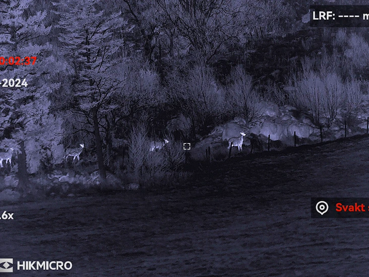 Hikmicro habrok hx60l