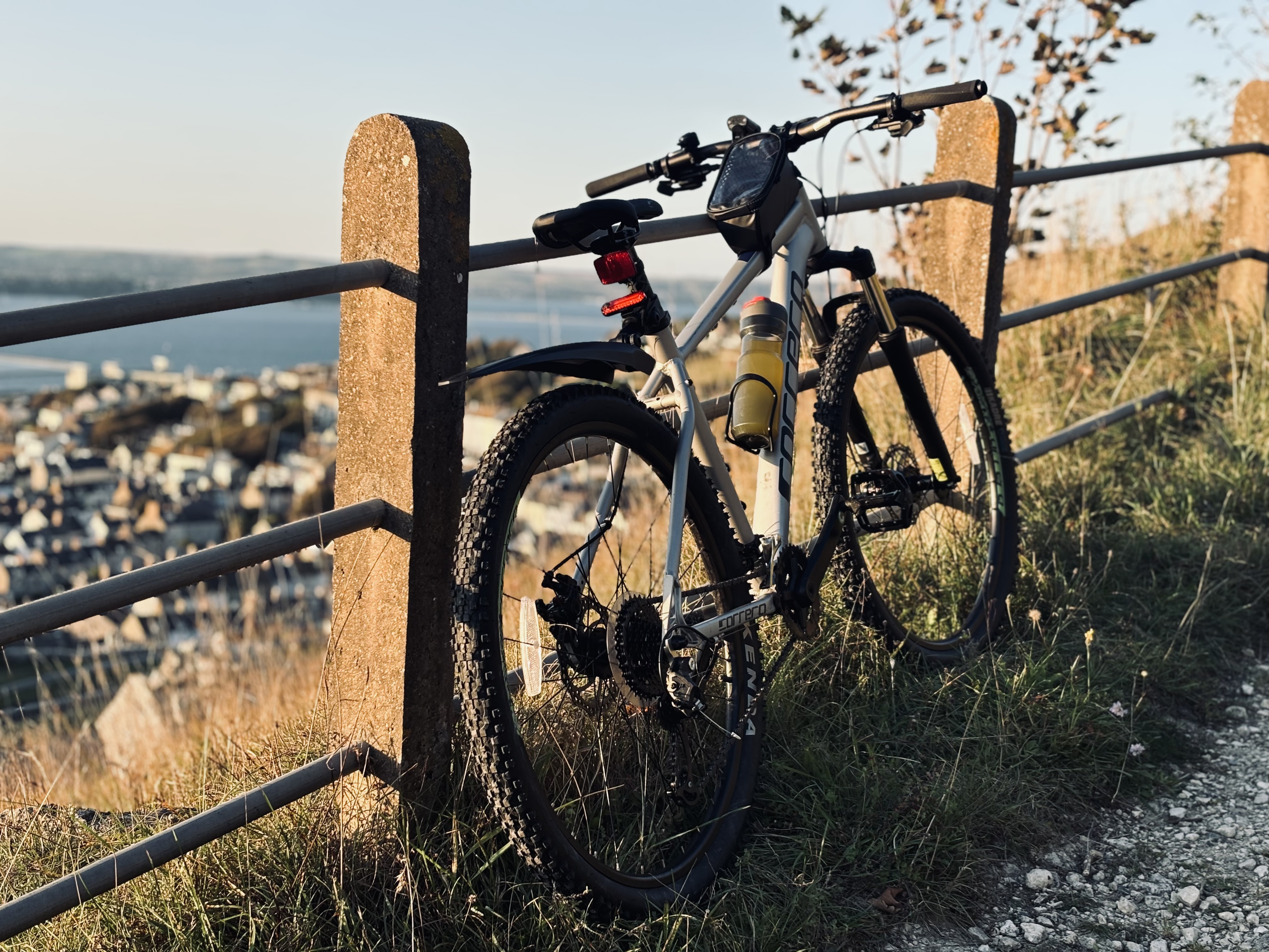 Carrera mountain bike