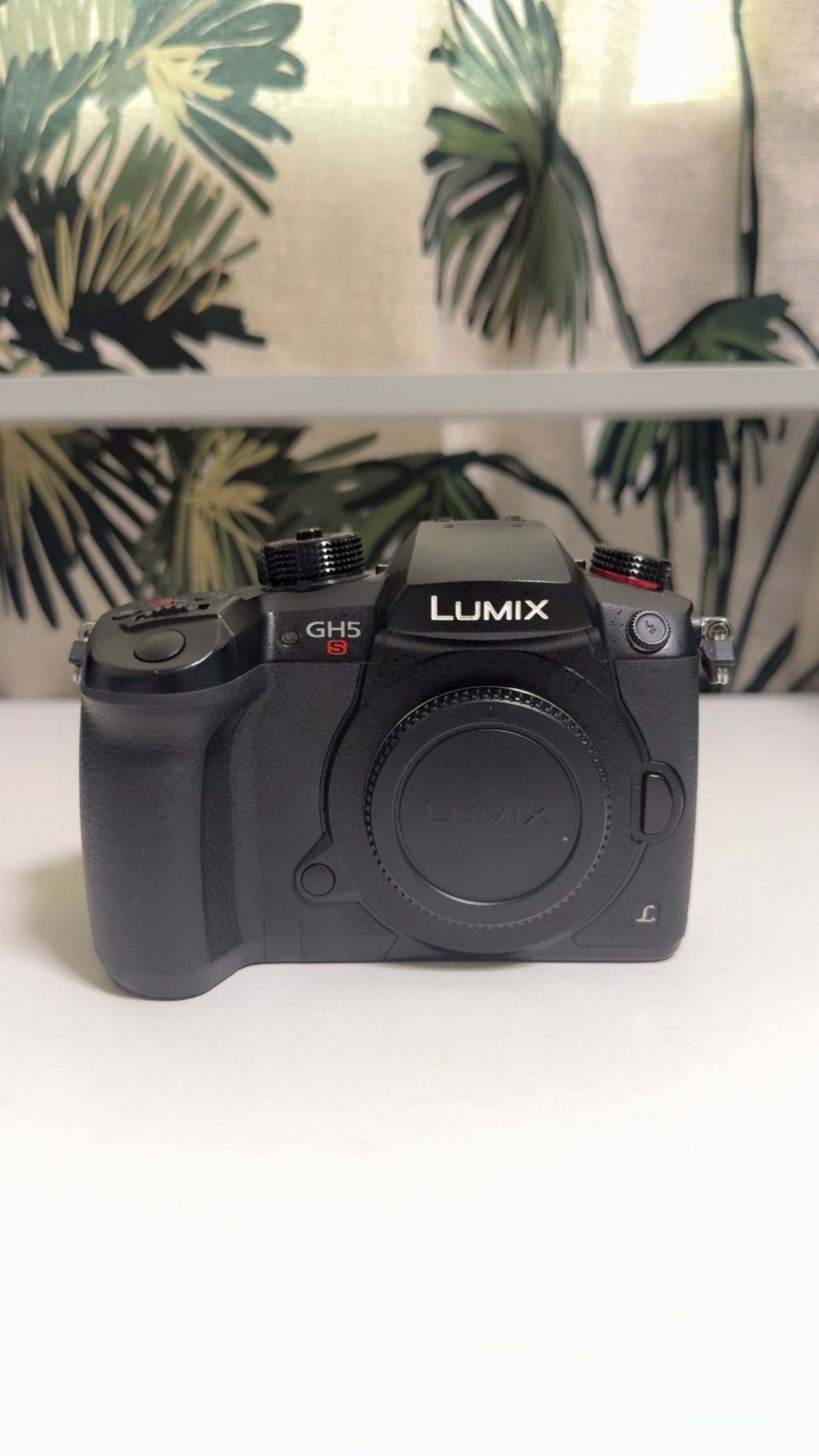 Lumix gh5 s (with lens)