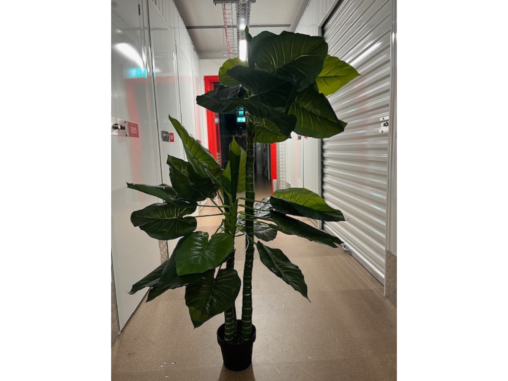 8 x artificial taro tree with 3 trunks 150cm x 8