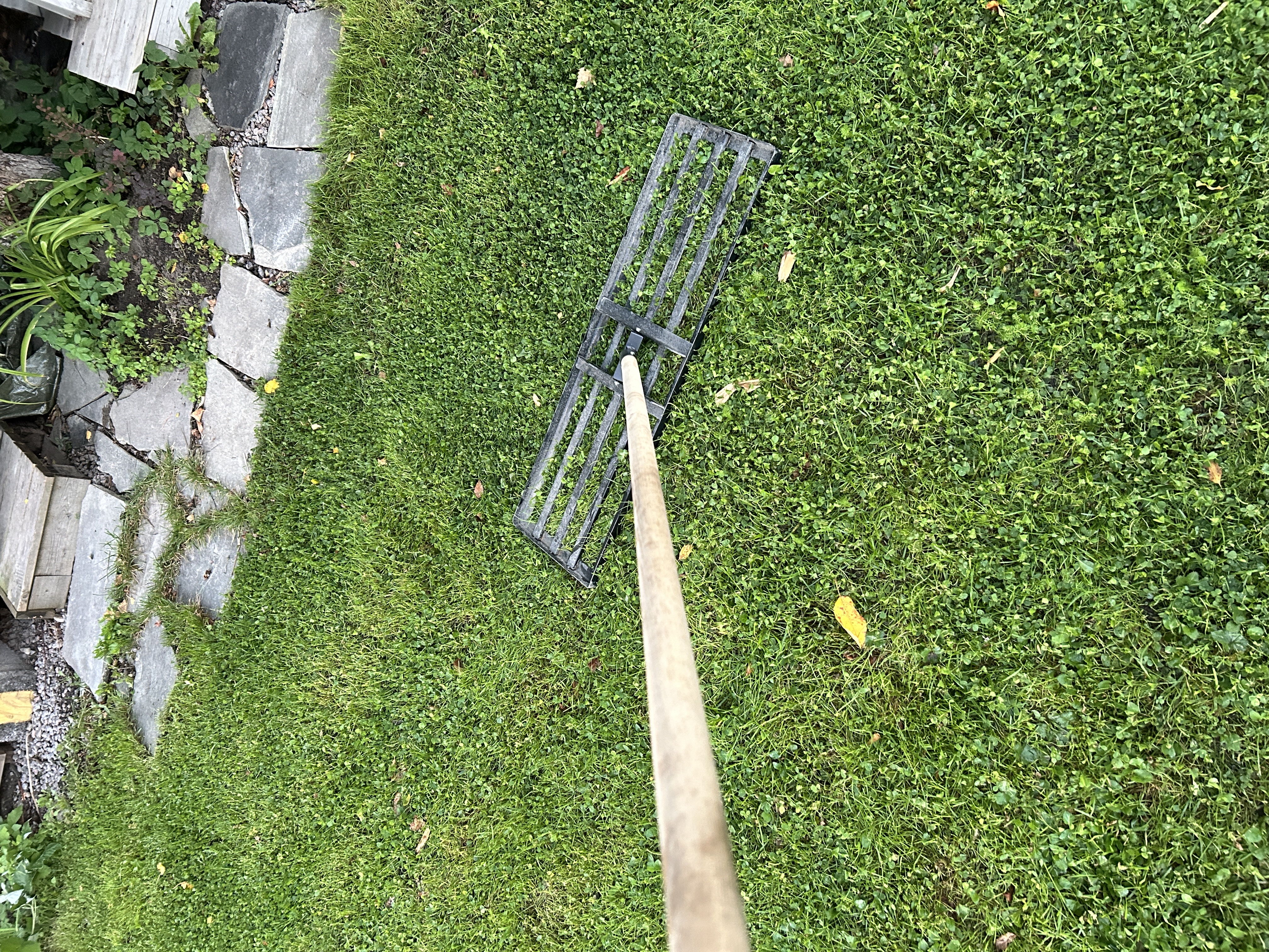 Robust og enkel dressrive