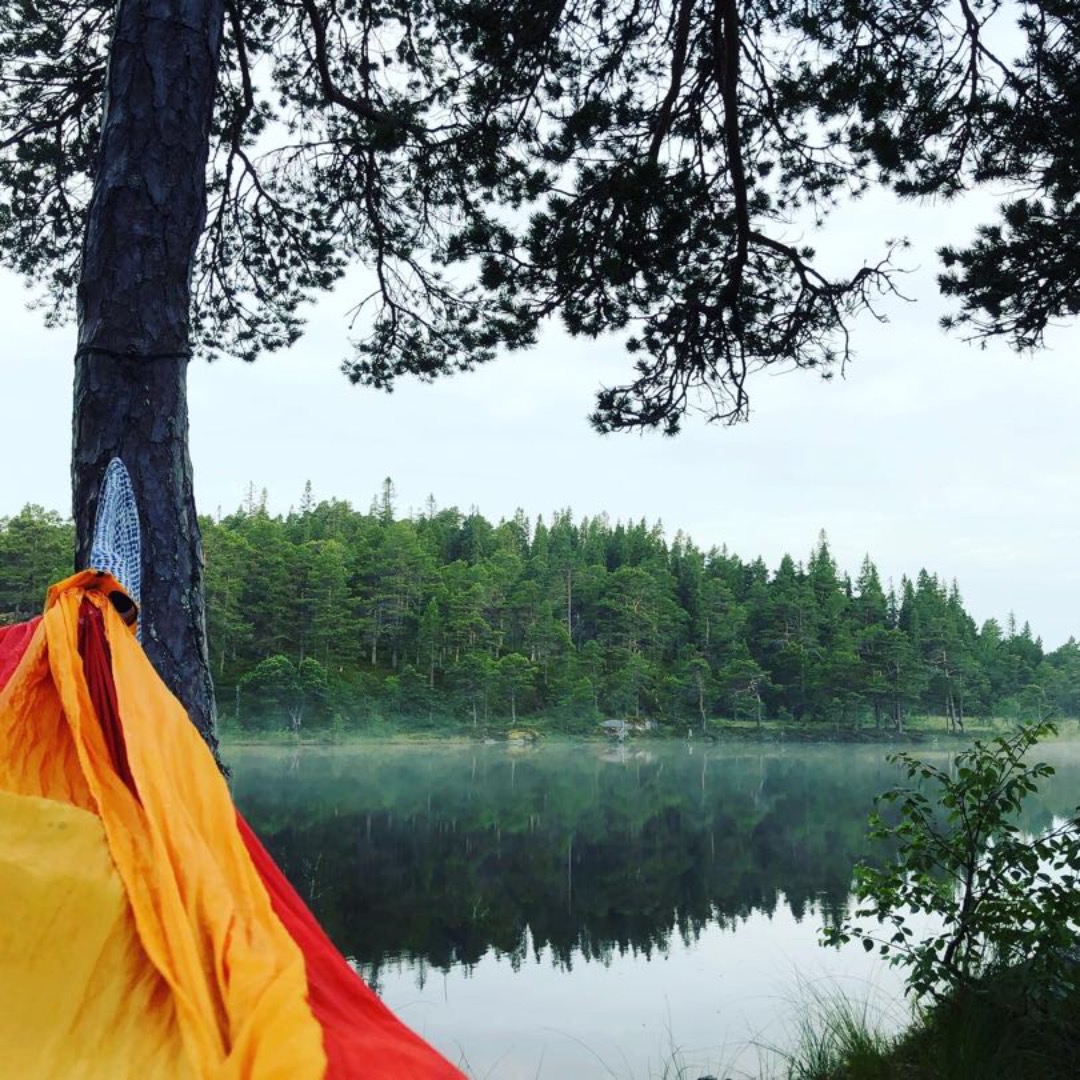 Hengekøye