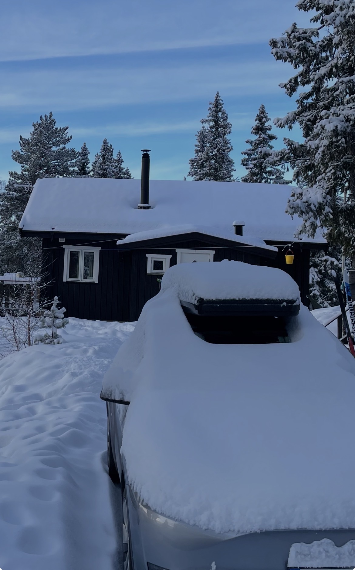 Packline skiboks glassfiber medium strl 