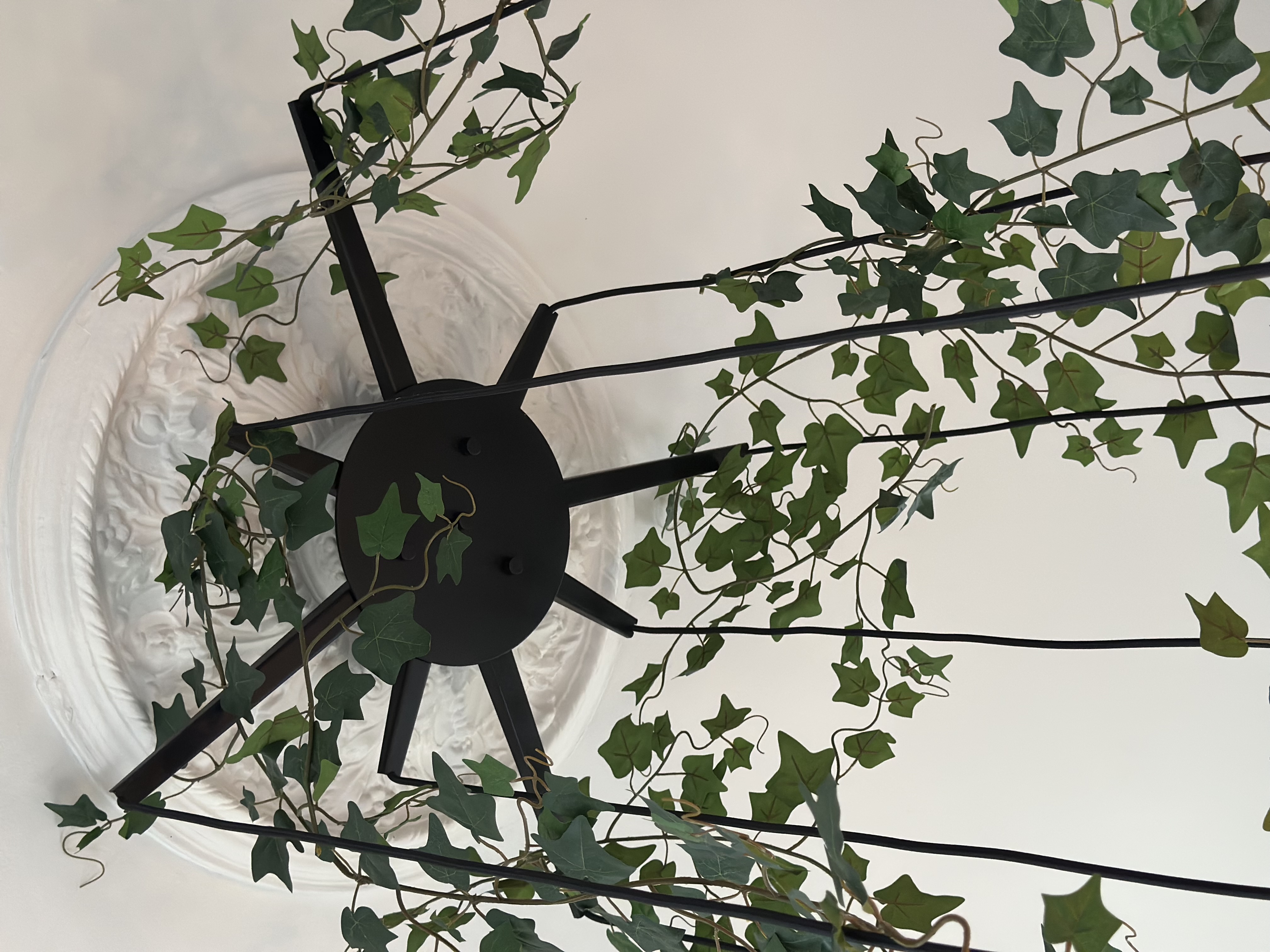    10 stk eføy girlander  hver på  150 cm, perfekt til borddekking og dekor