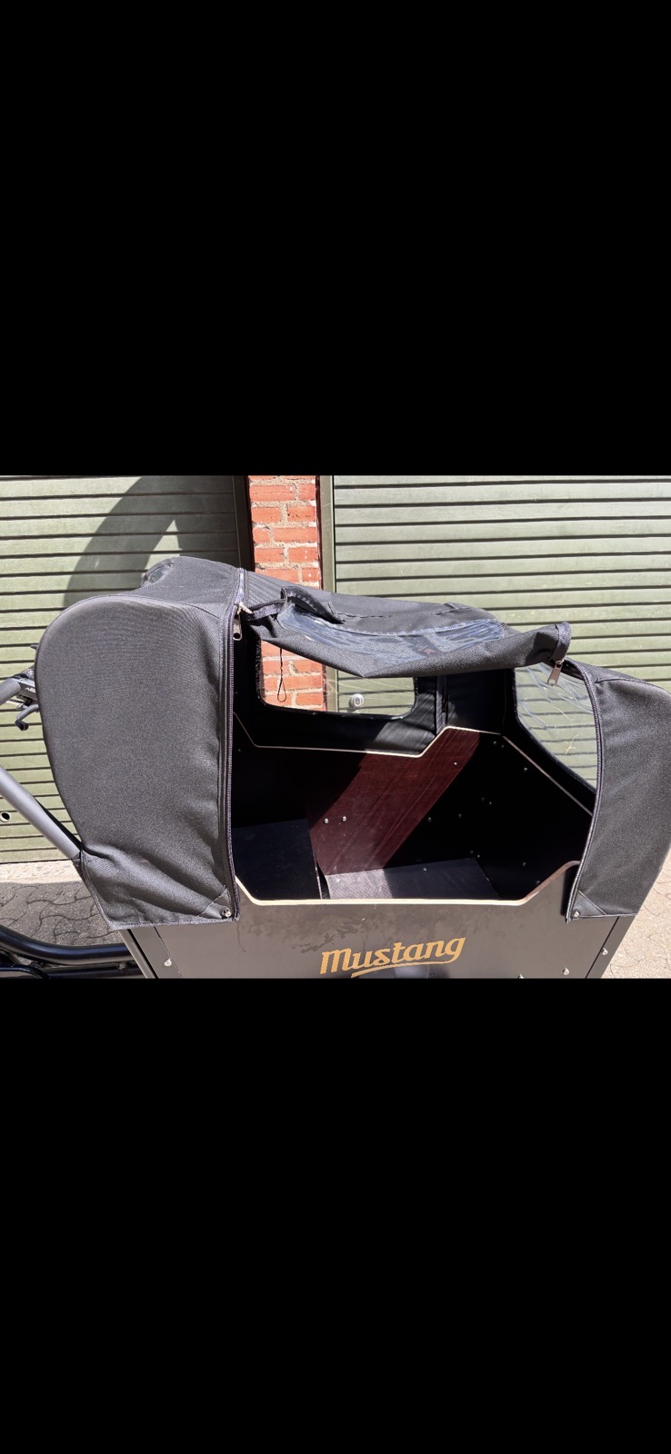 Electric cargo bike