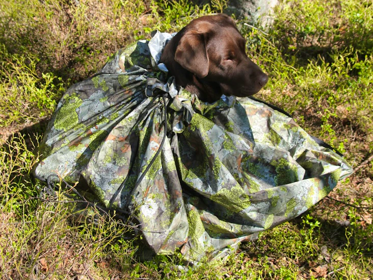 Jervehiet til hund strl. l