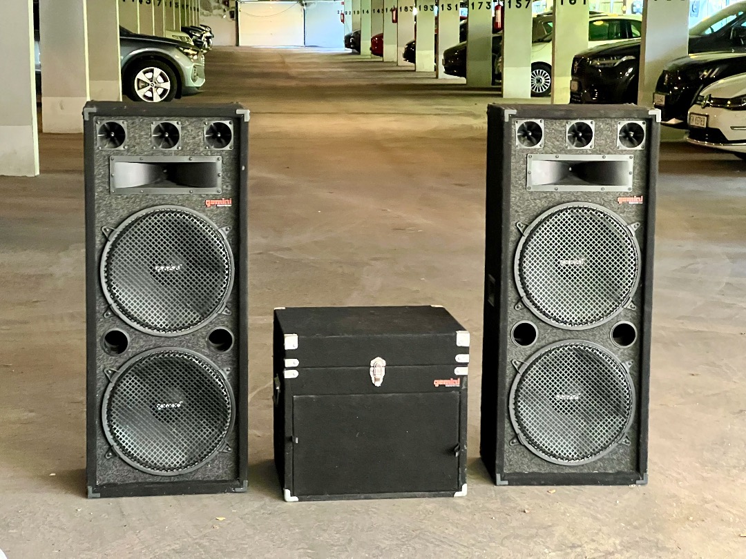 Rimelig gemini pa-anlegg