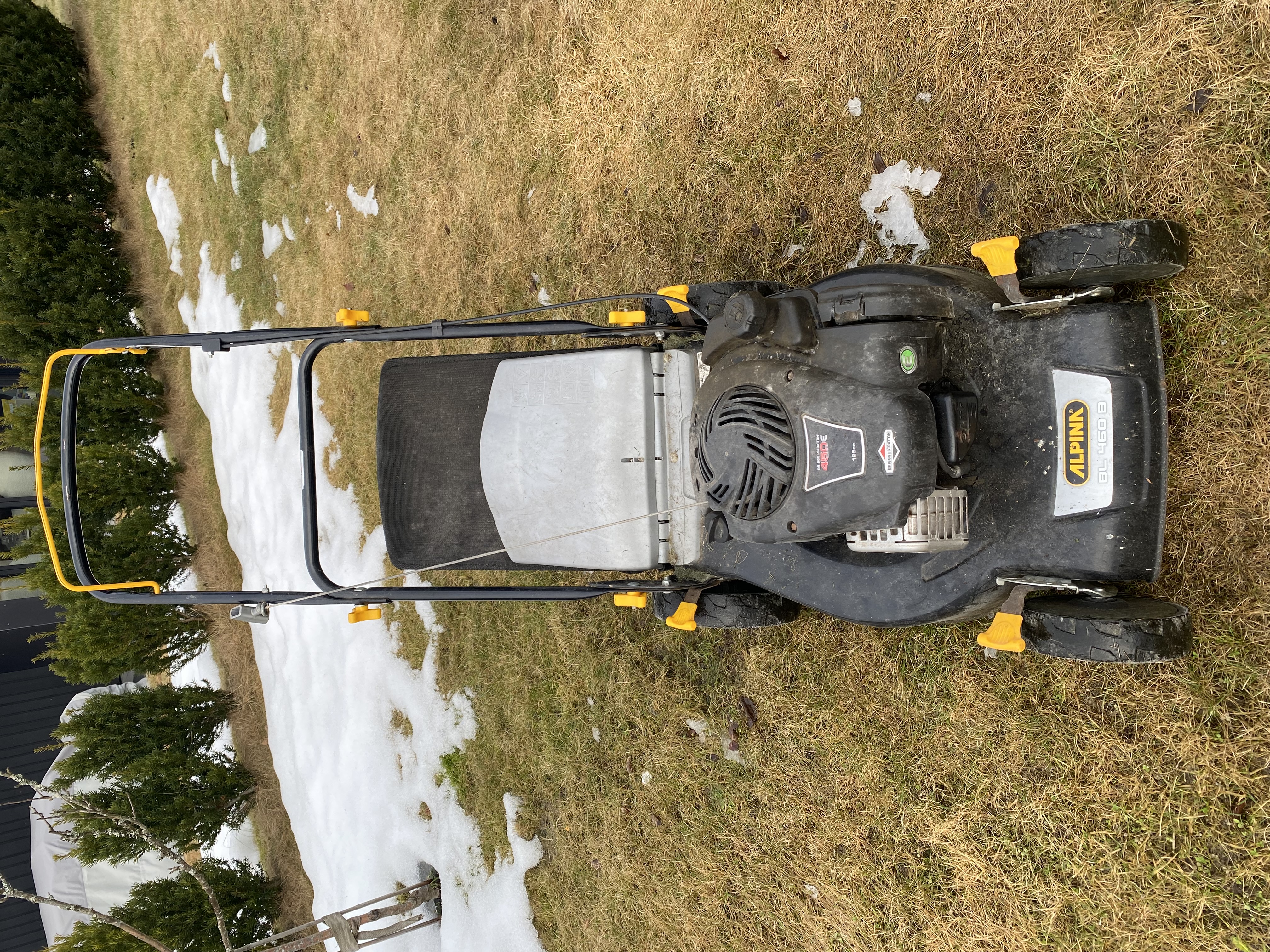 Gressklipper bensin til hage/hytte! – alpina bl 460 b til leie