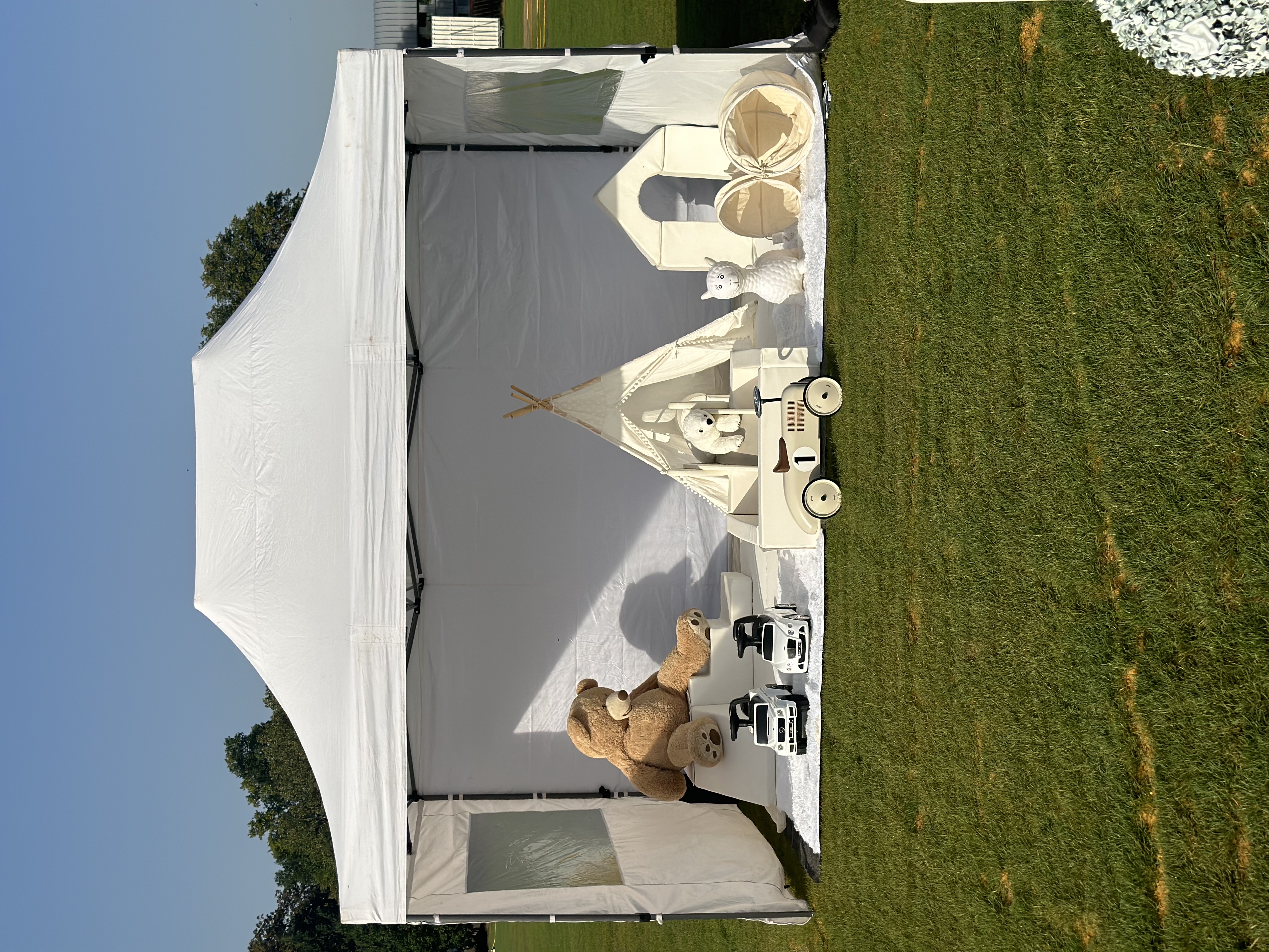 3x4.5 professional pop-up gazebo tent