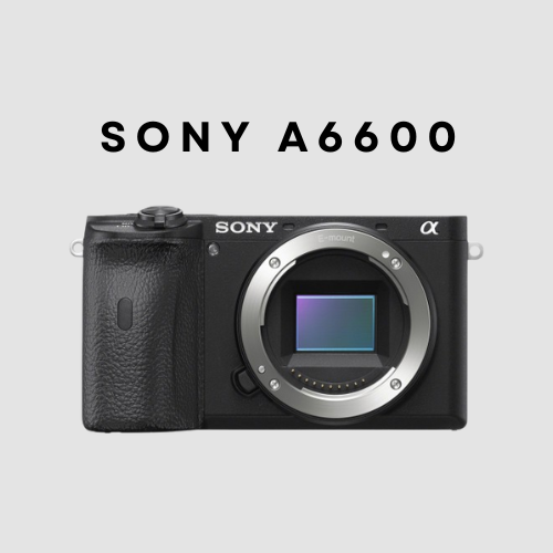 Sony a6600 - mirrorless camera