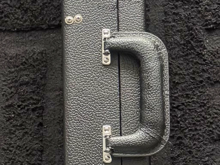 Bass/electric guitar case