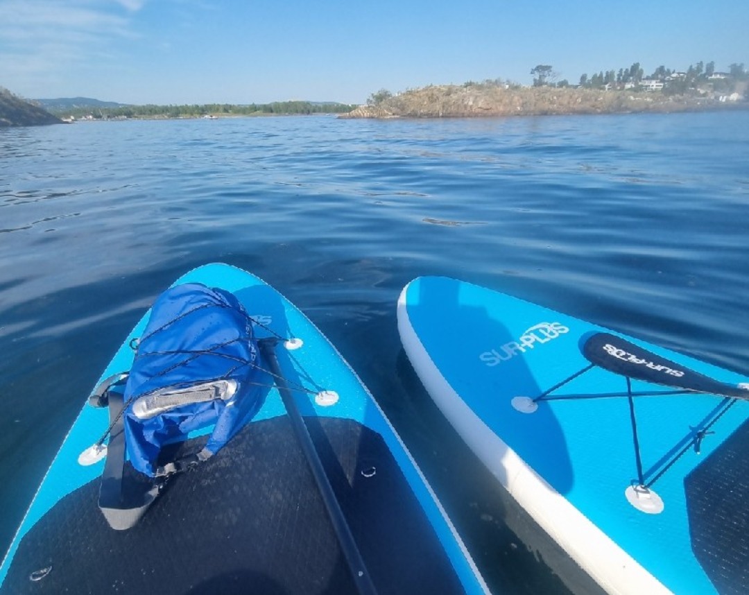 2 stk sup brett leies ut. 50% på brett nr 2
