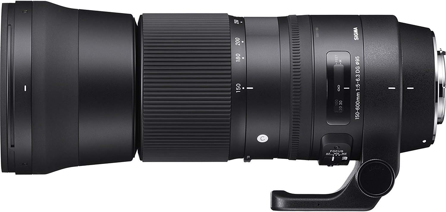 Sigma 150-600mm fx zoom lens - nikon f mount
