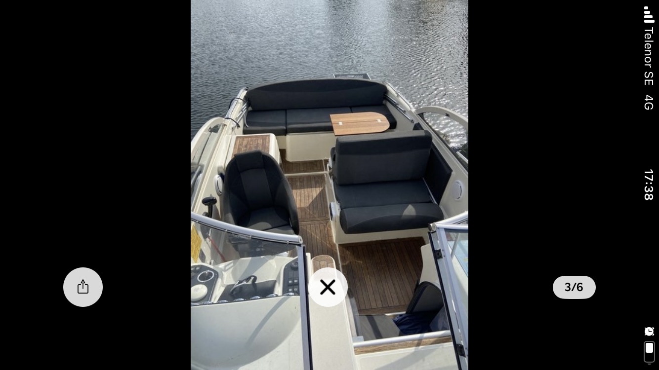 Askeladden beetle 645