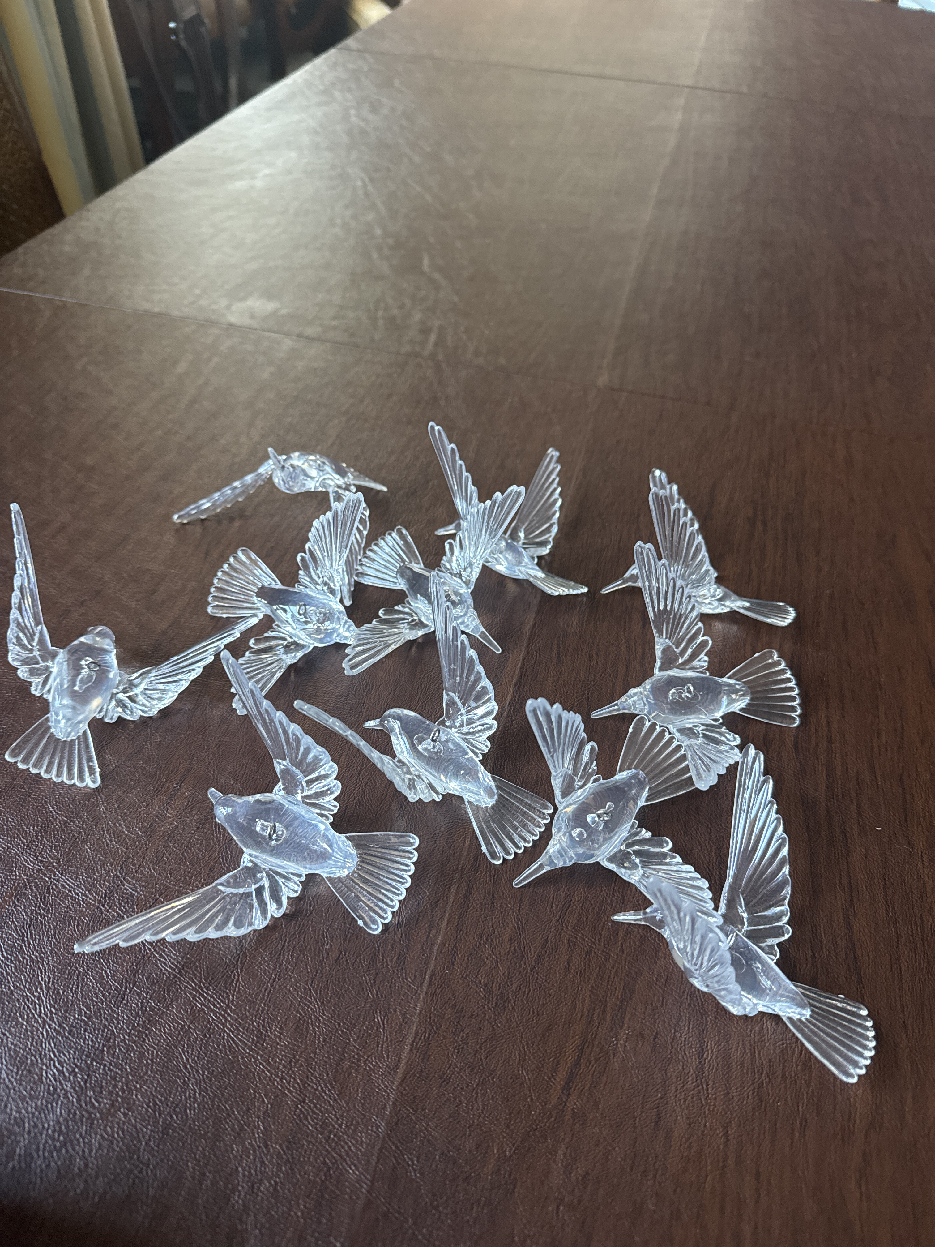 Birds 