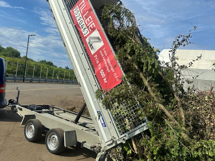 Tipphenger med grind