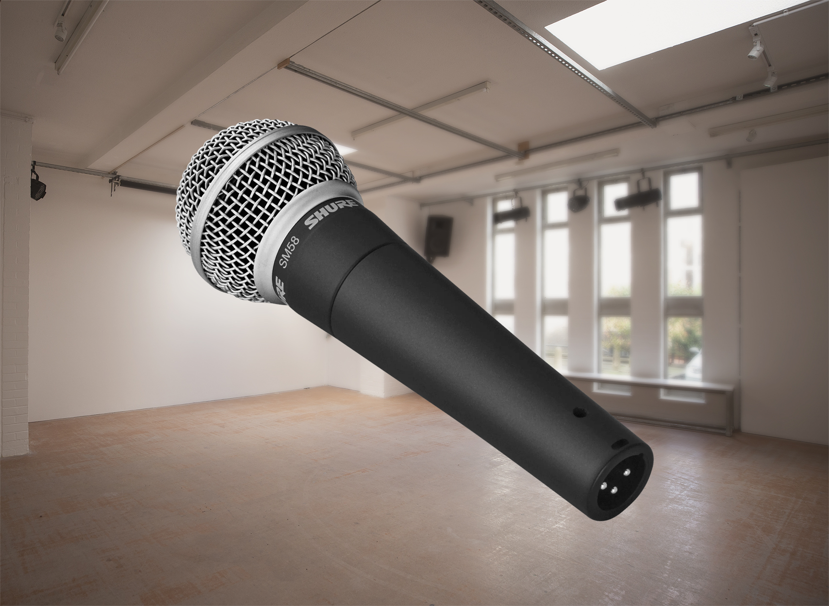 2 x shure sm58 microphones