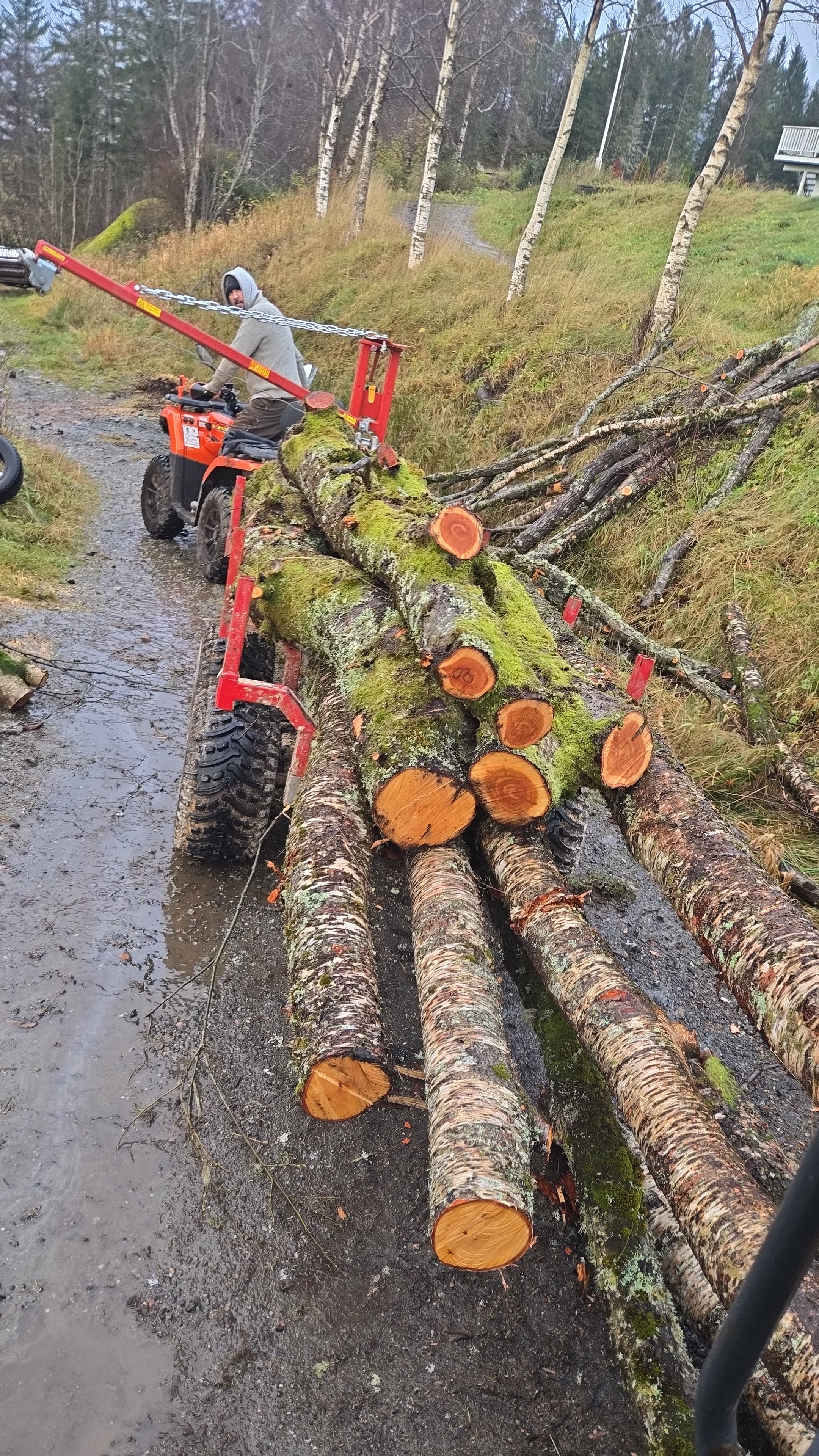 Kranman tømmerhenger med hyd vinsj