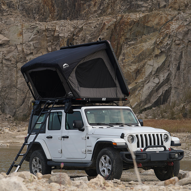 Wild land desert cruiser