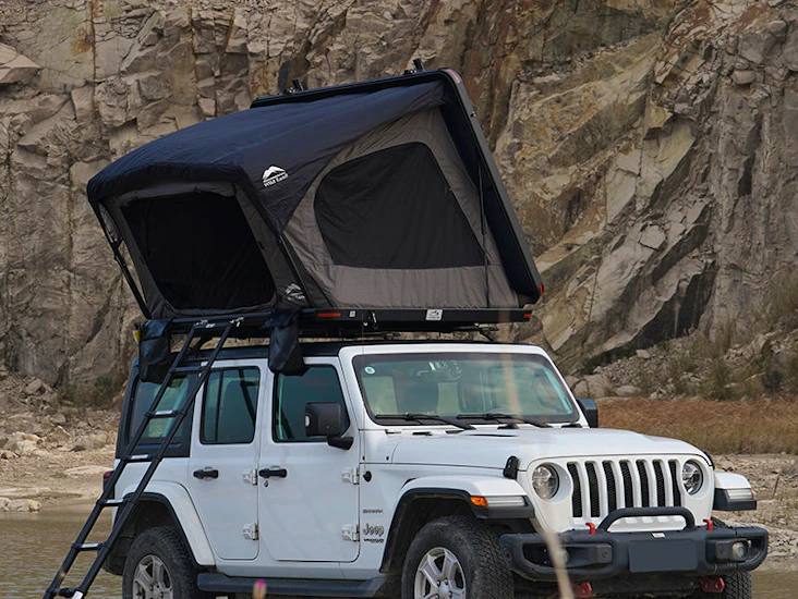 Wild land desert cruiser