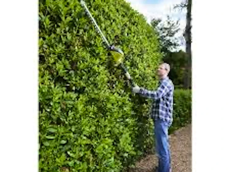 Hækkeklipper (teleskophækkeklipper)