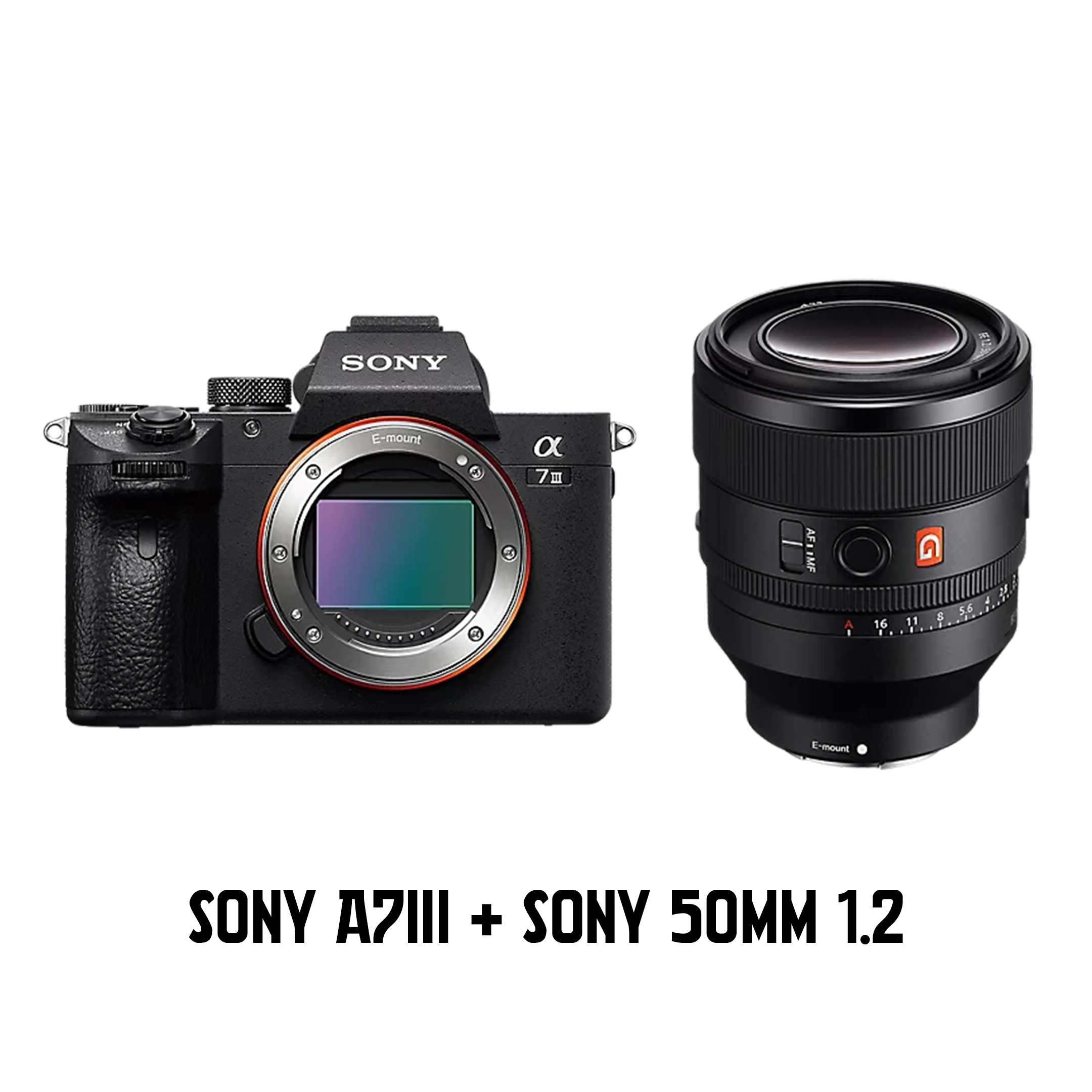 Sony a7iii + sony 50mm 1.2