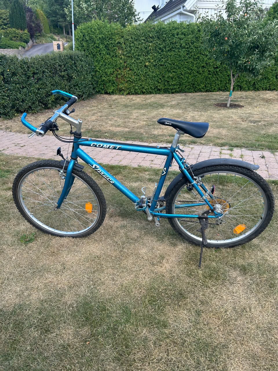 Äldre mountainbike xl
