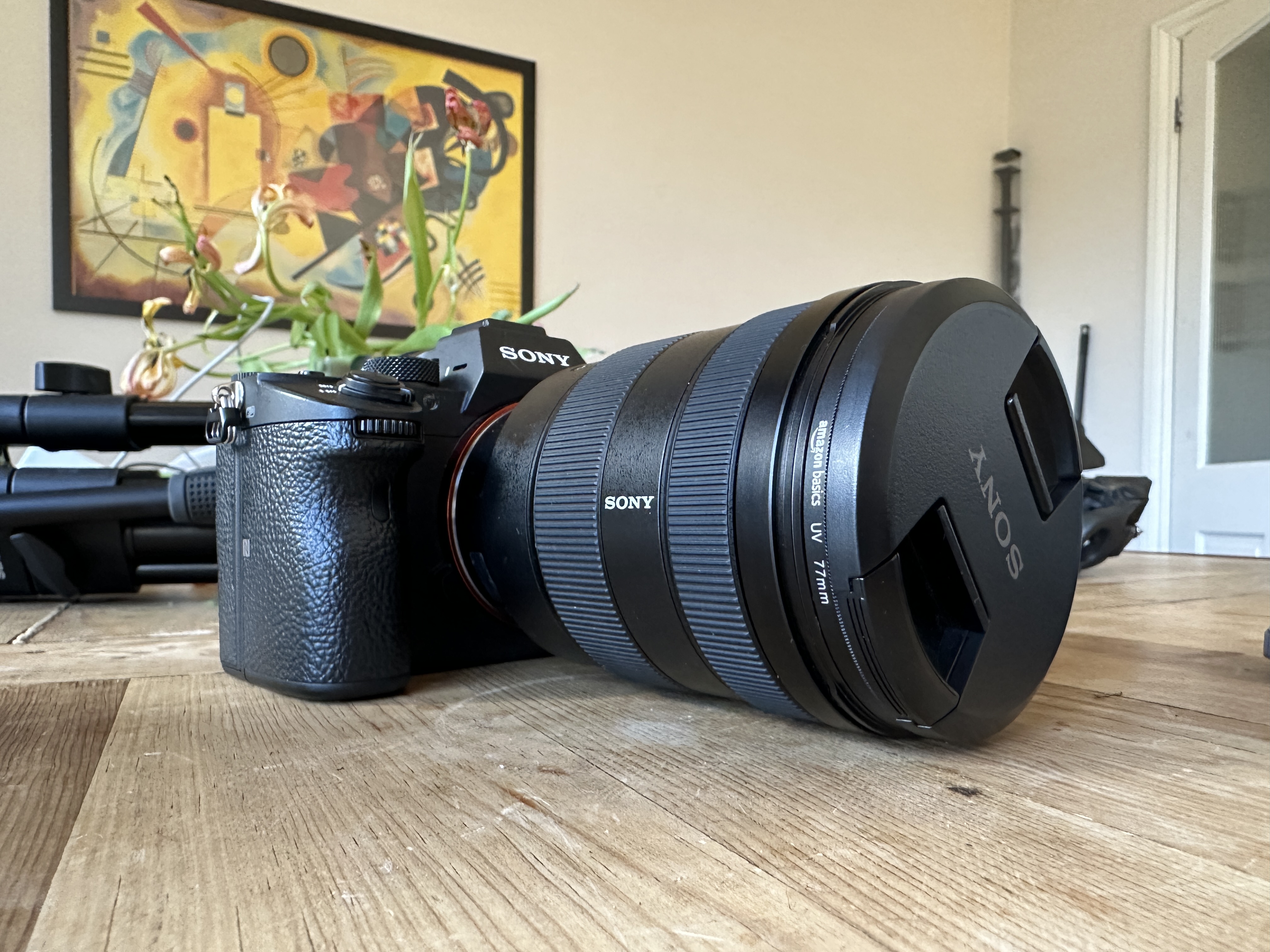 Sony a7iii + g master 24-105mm f/4 lens