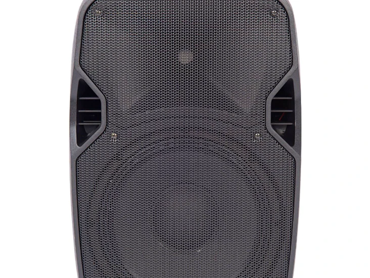 1 pa speaker (includes stand)