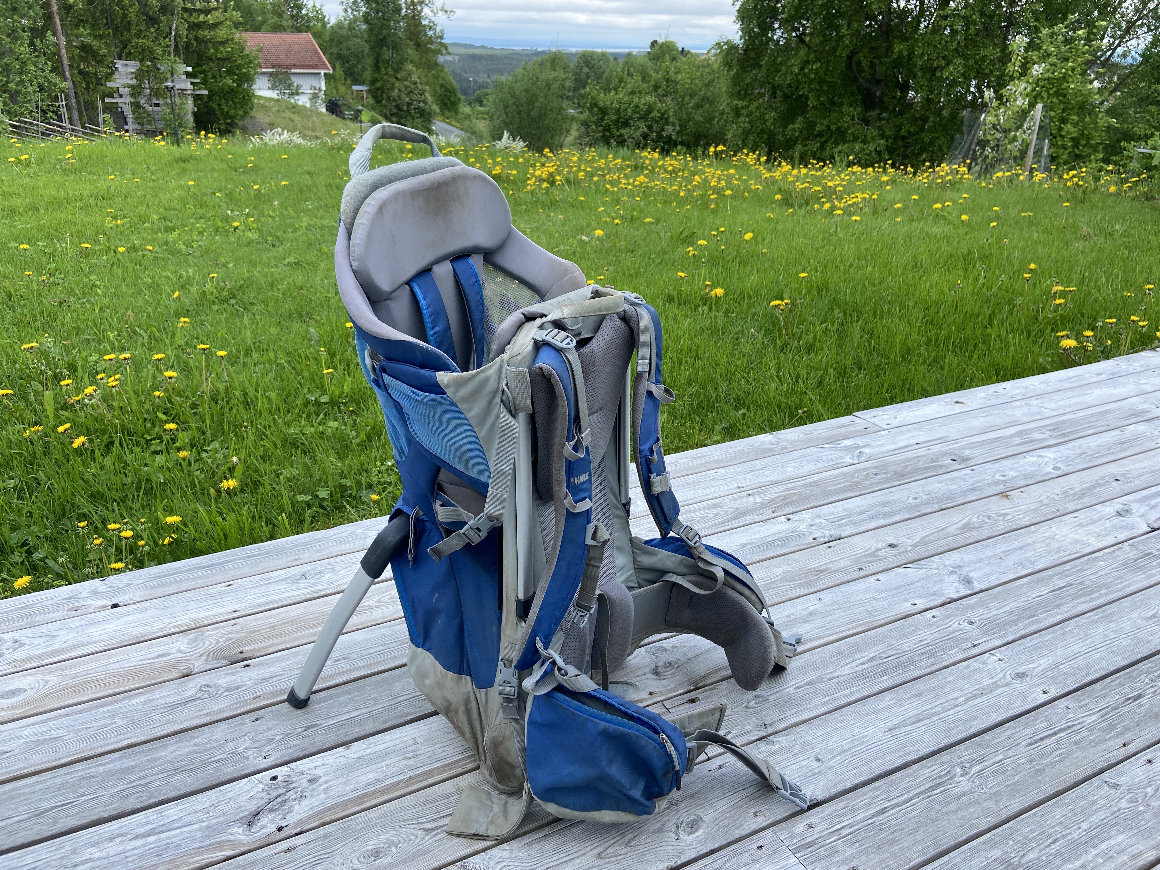 Thule bärstol för barn
