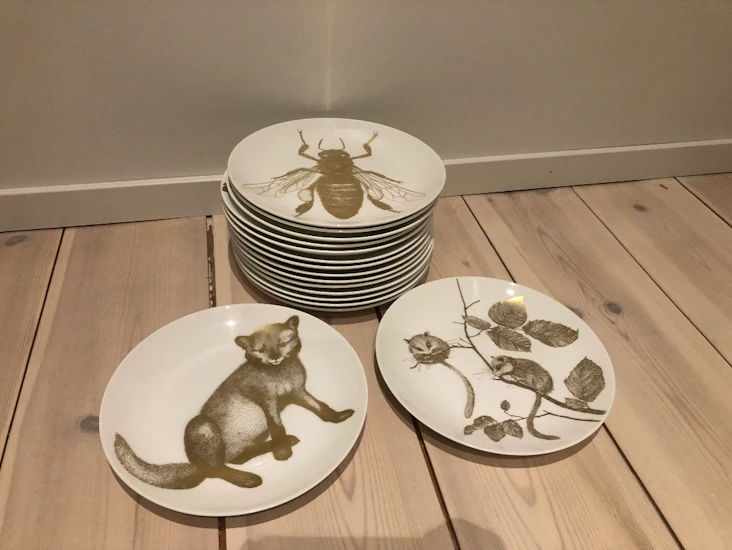 Tallrikar till fest - arter i fara - 60st