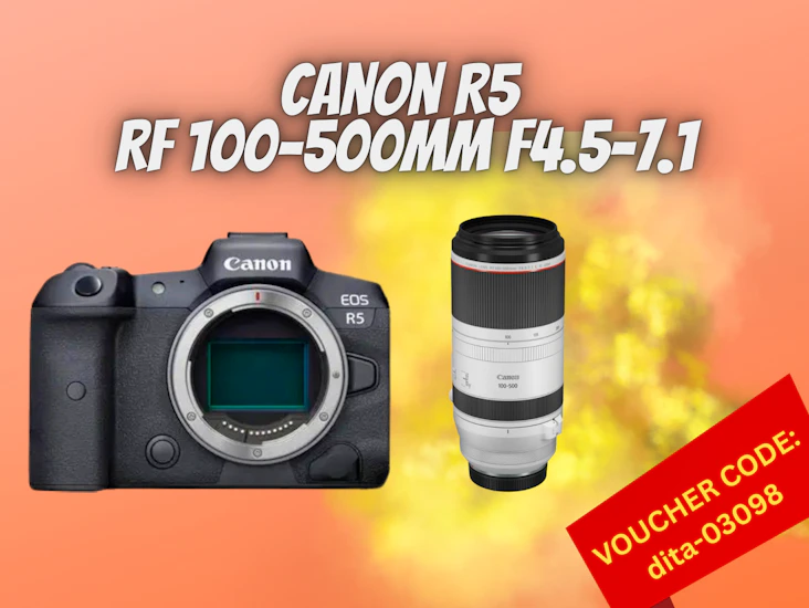Canon r5 + canon rf 100-500 mm lens f/4.5-7.1