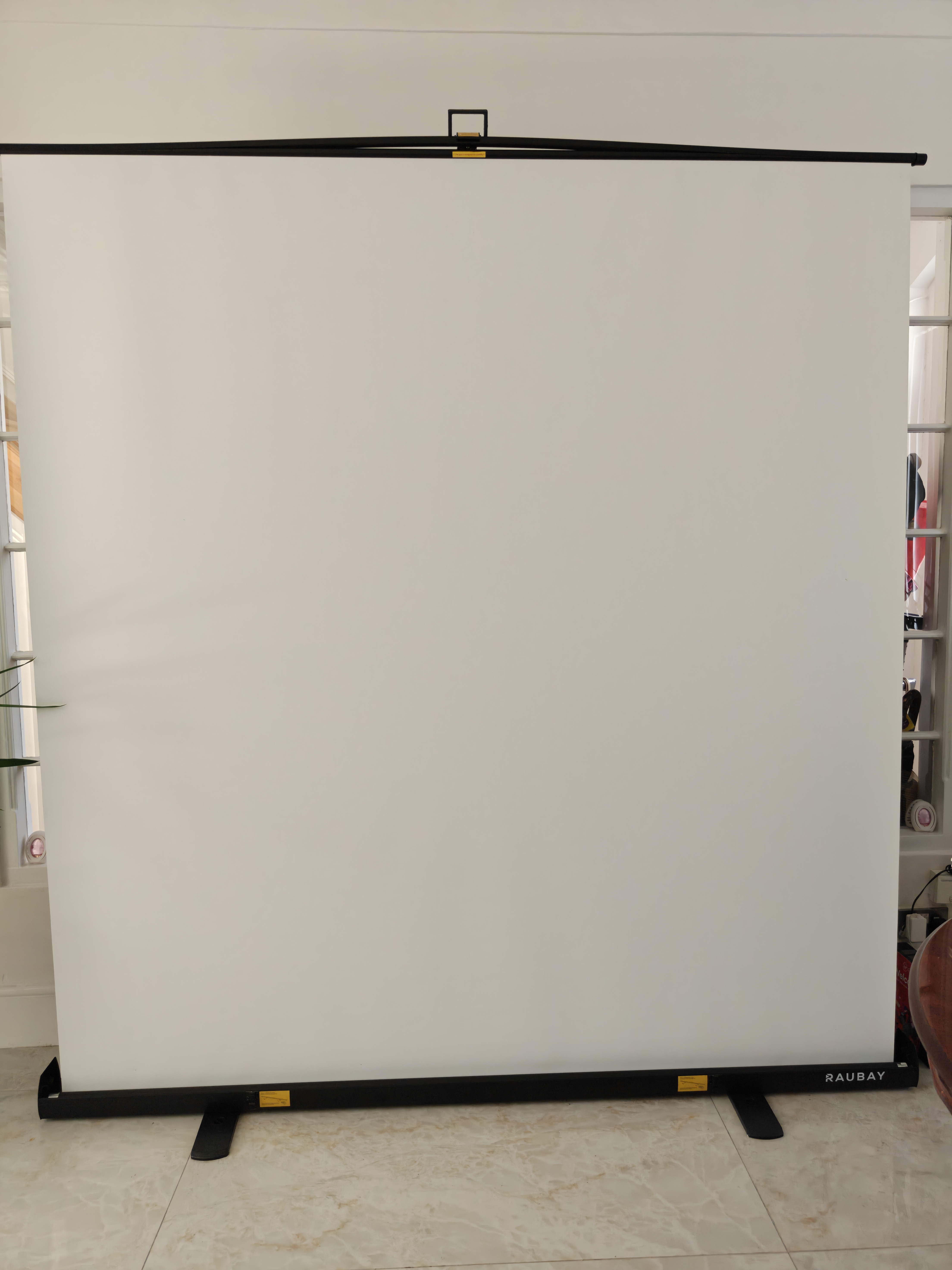 Raubay 78.7 x 82.7in collapsible gray backdrop screen with stand