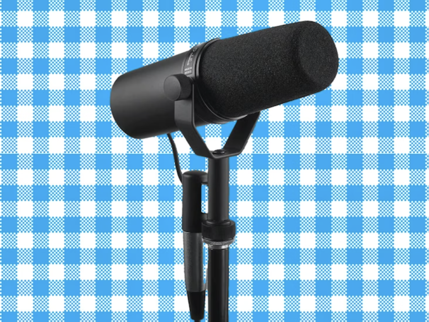 Shure sm7b podcast mic (unit 2)