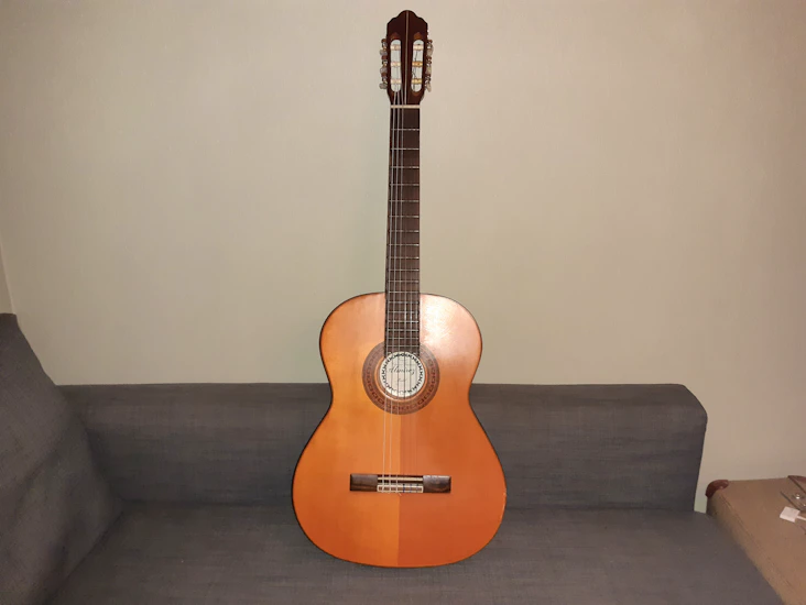 Gitarr inkl. fodral - 25 kr/vecka