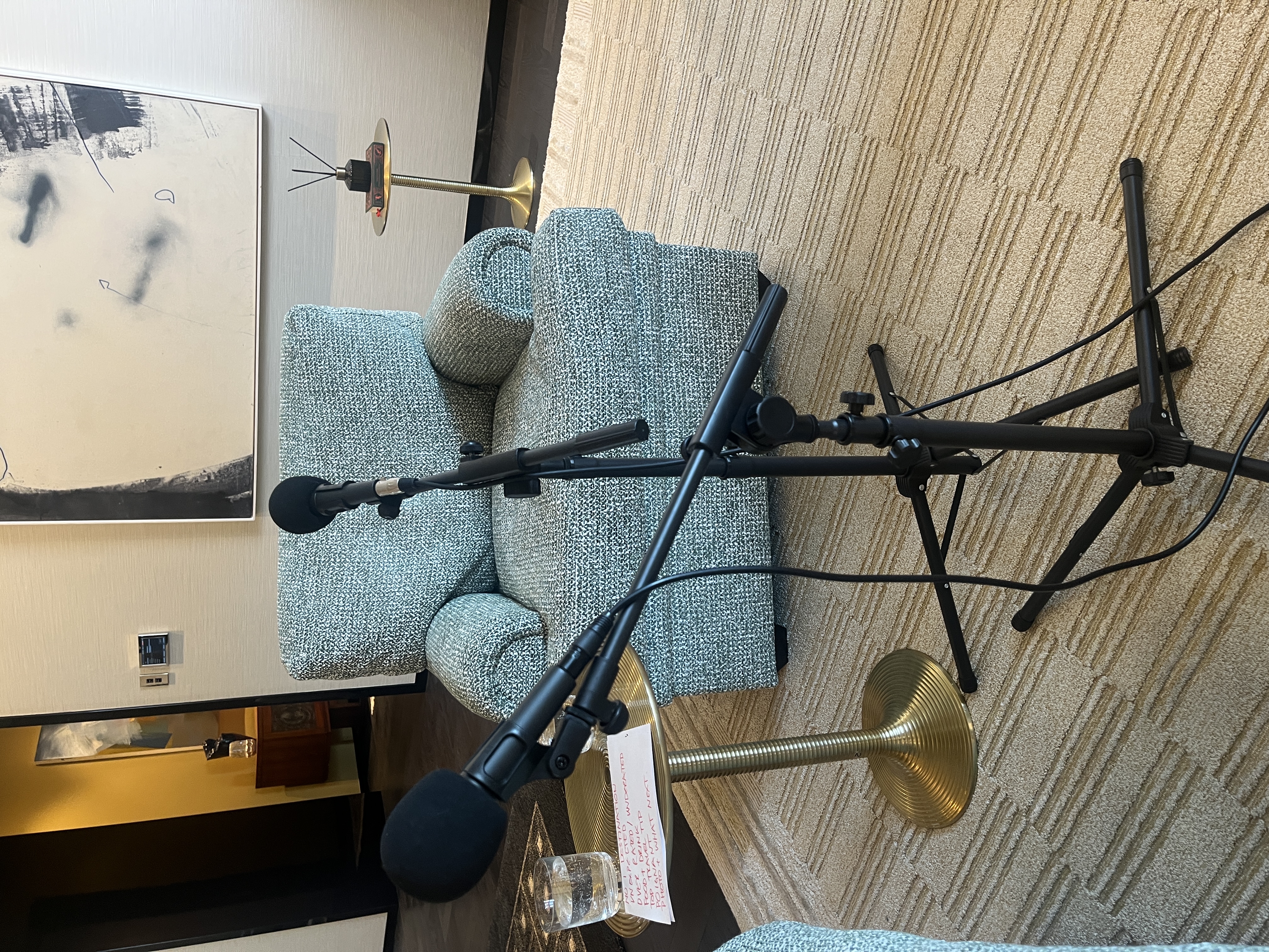 🎤 shure sm58 x2 with boom stands
