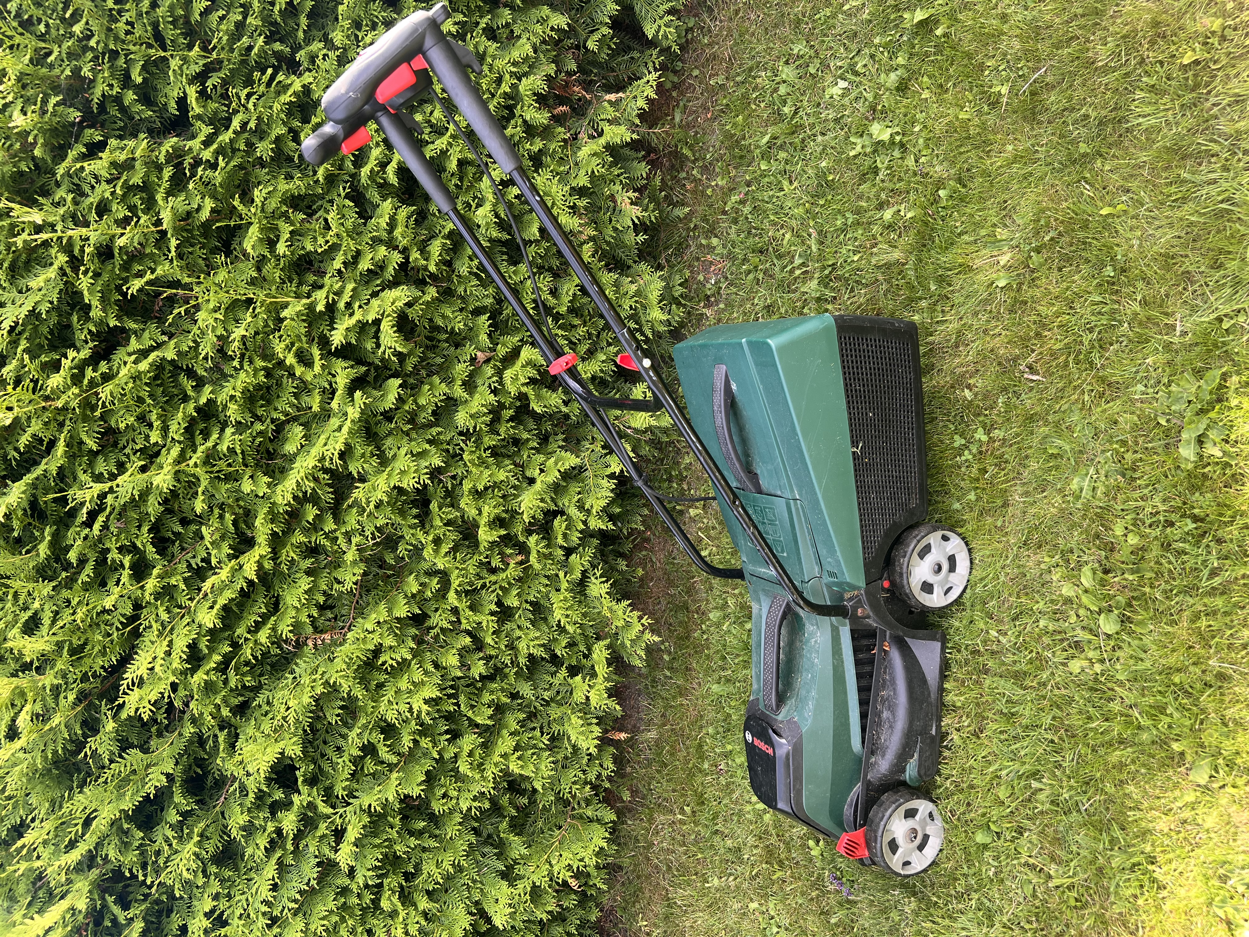 Leie av bosch elektrisk gressklipper