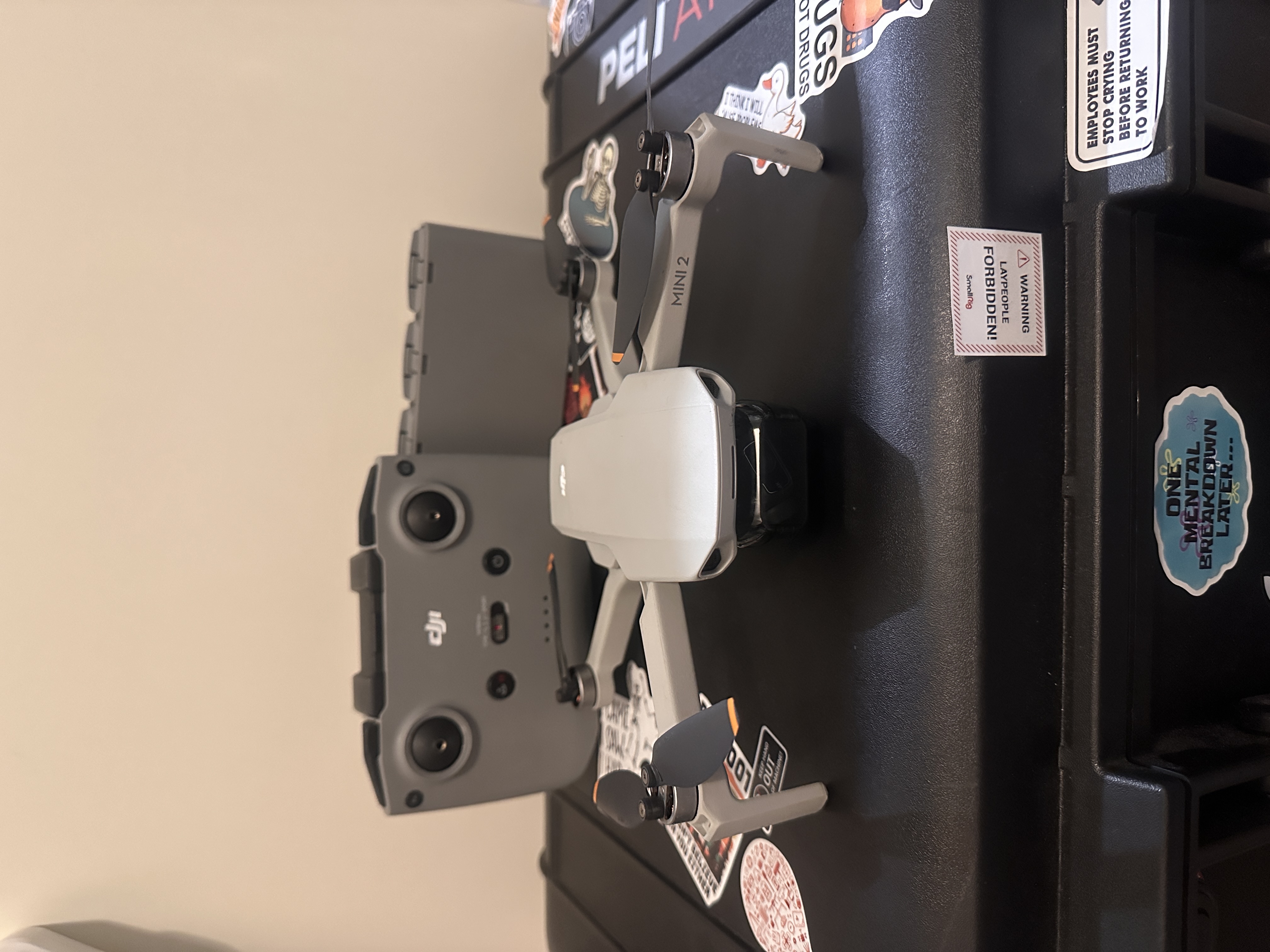 Dji mavic mini 2 - fly more kit