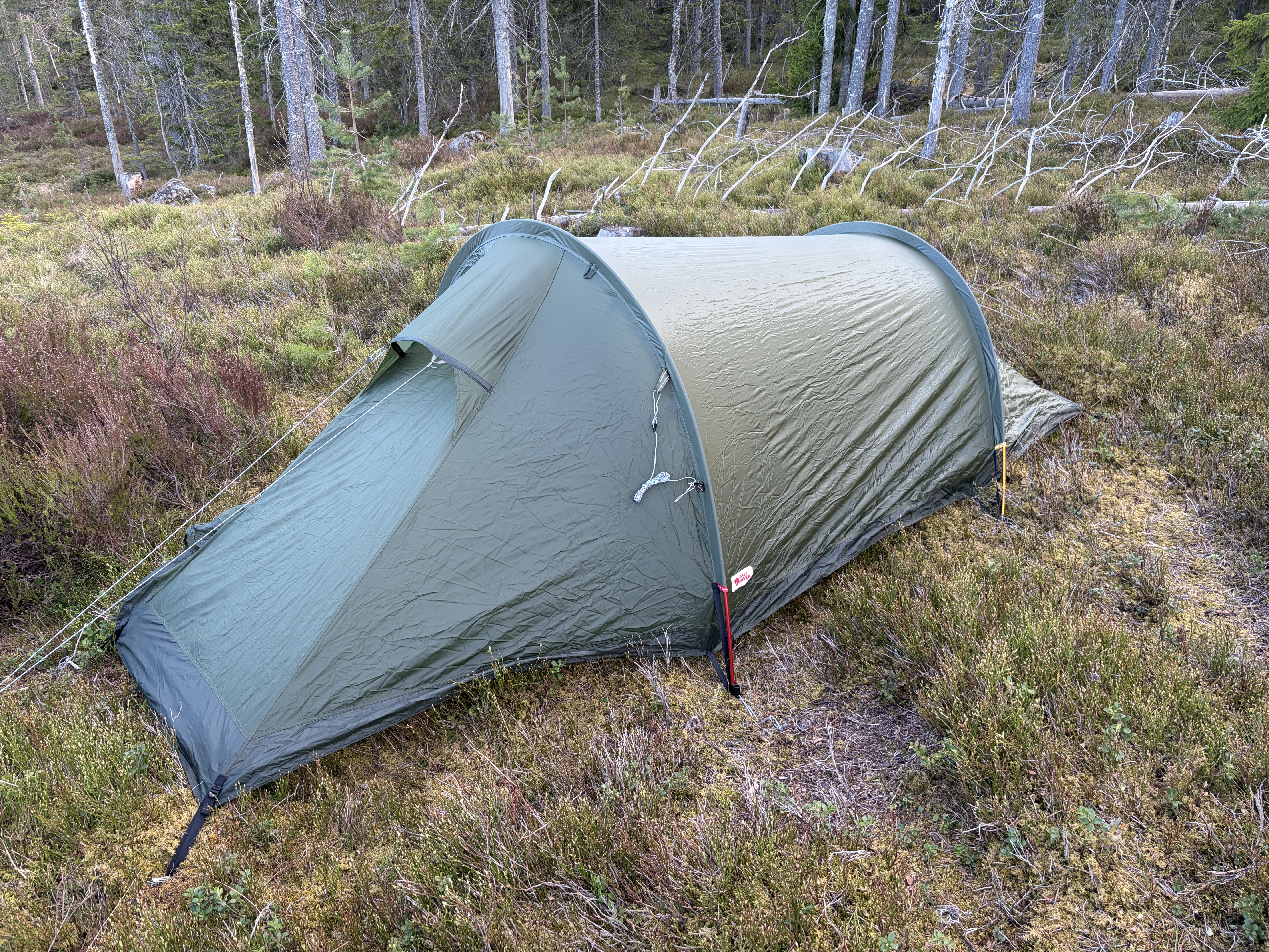 Fjellreven abisko lite 2