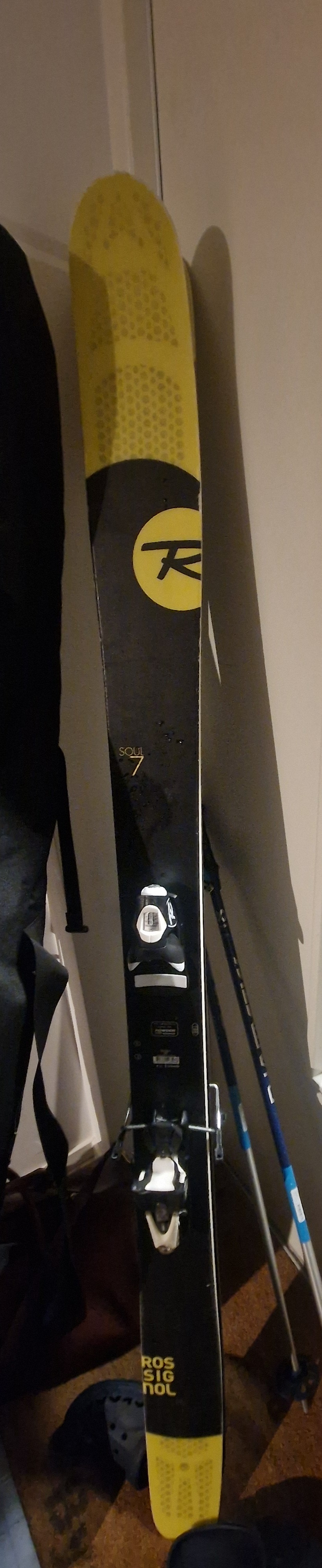 Freeride skidor