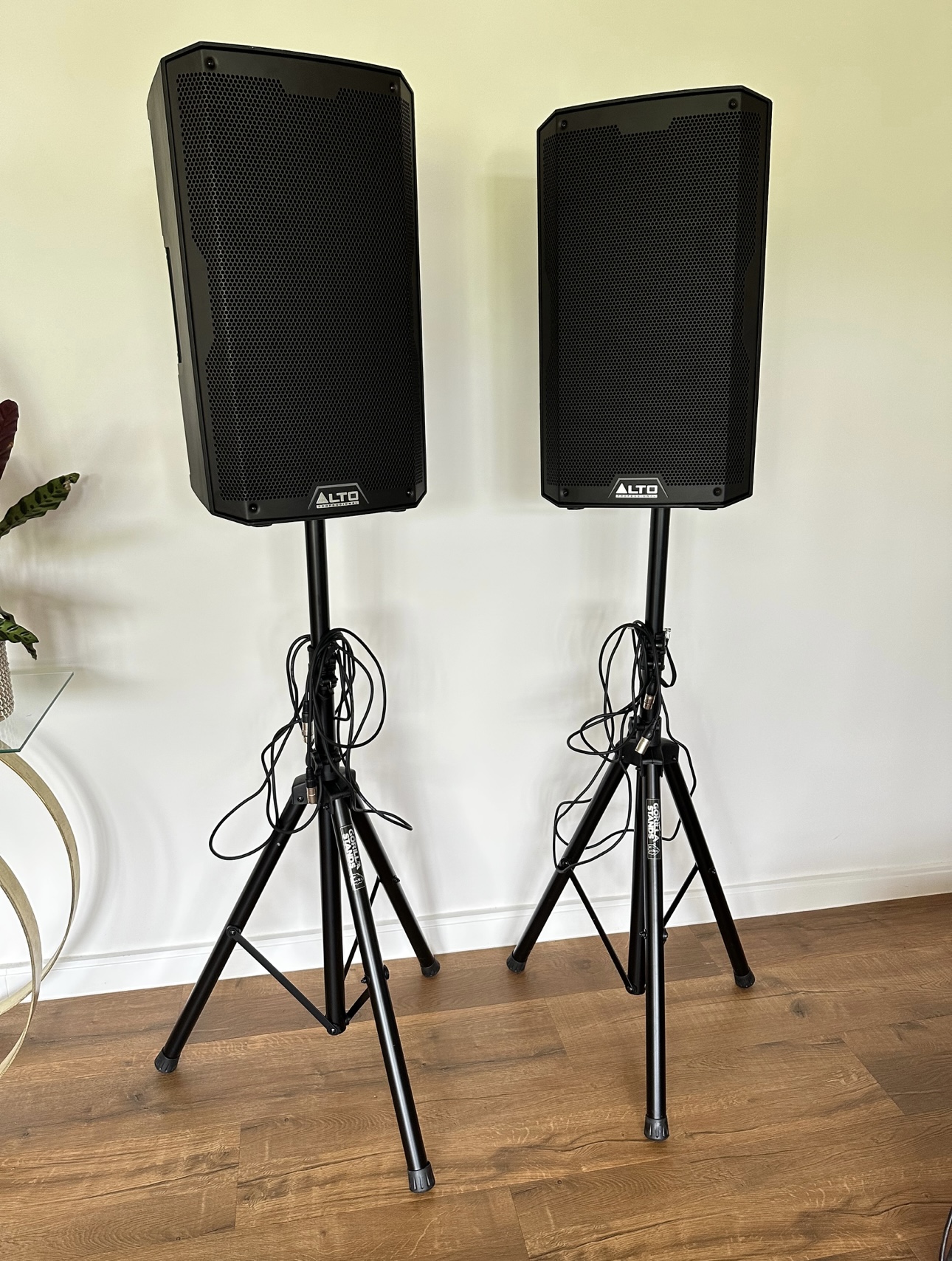 Alto 12” speaker set (with stands and cables)