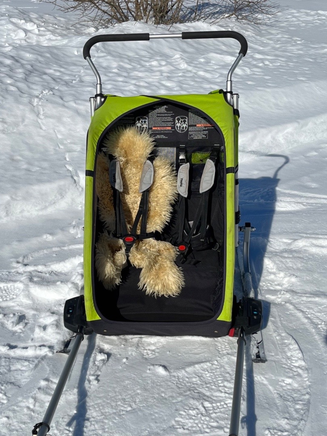 cheetah thule